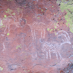 Bighorn sheep figure